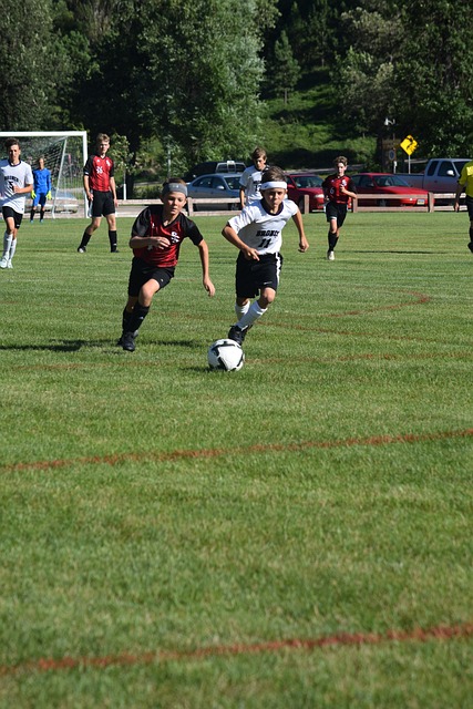 3377小游戏：[NBA]班凯罗24+6+6 魔术战胜国王.